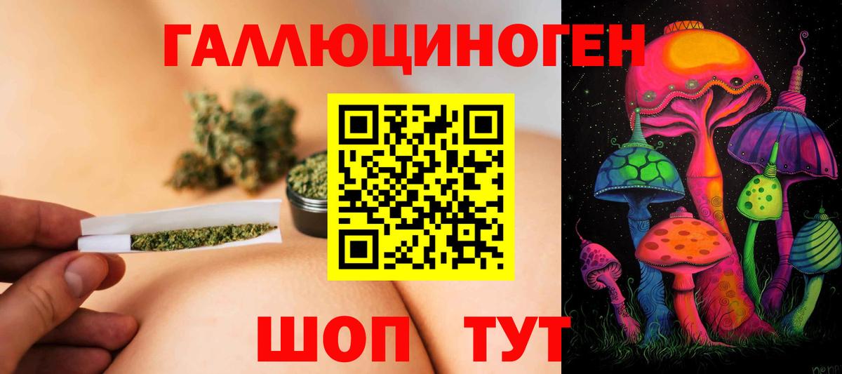 Псилоцибиновые грибы Psilocybe  Вход с VPN  Галлюциногенные грибы MAGIC MUSHROOMS  Дмитров 
